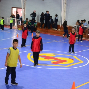 Día de la Actividad Física